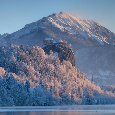 Pocitniska Hisa Lencka * Bohinjska Bela