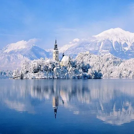 Pocitniska Hisa Lencka Bohinjska Bela